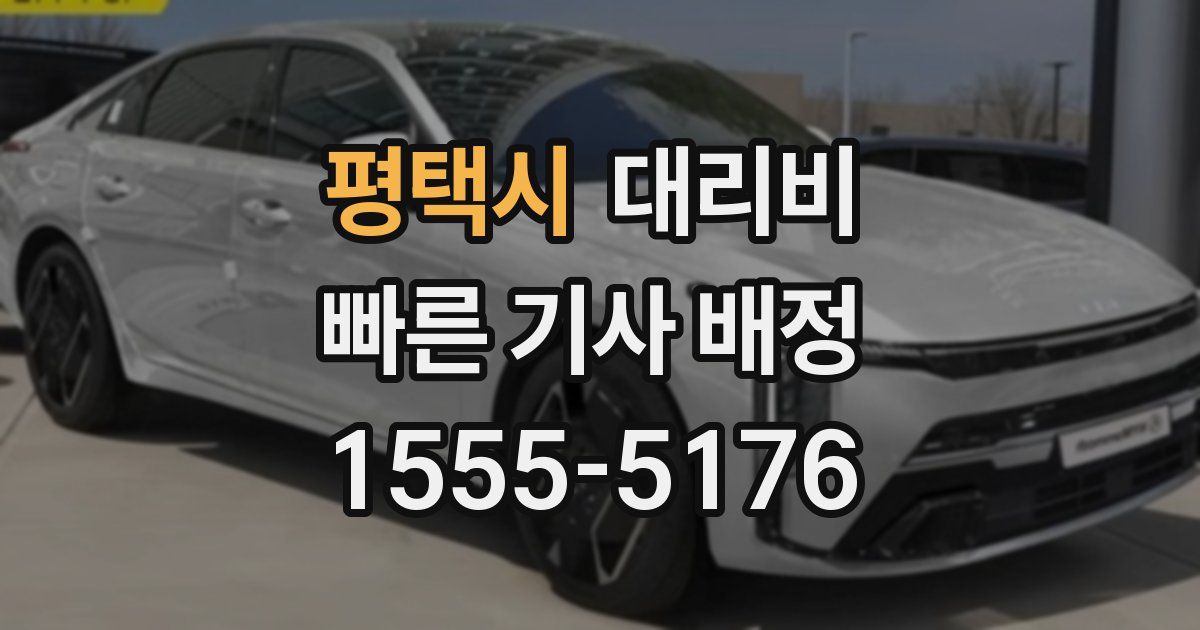 평택시 대리운전 가격