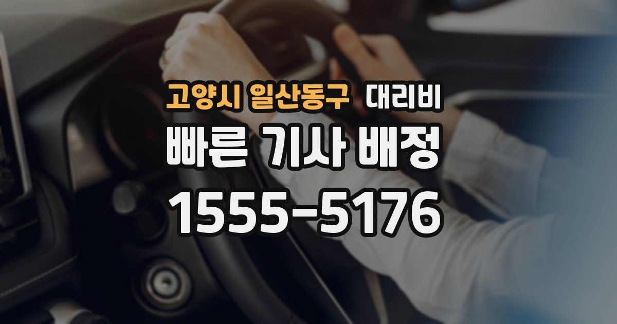 고양시 일산동구 대리운전 가격