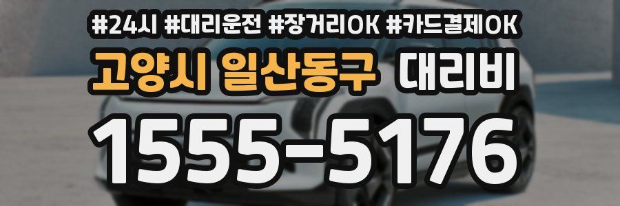 고양시 일산동구 대리비