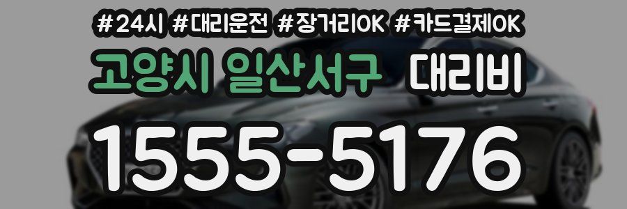 고양시 일산서구 대리비