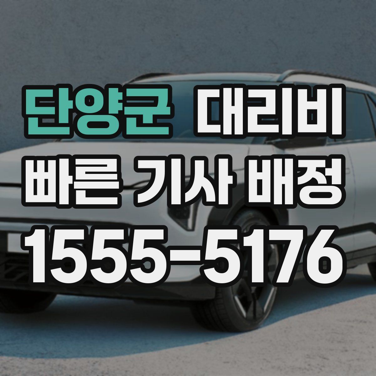 단양군 대리운전