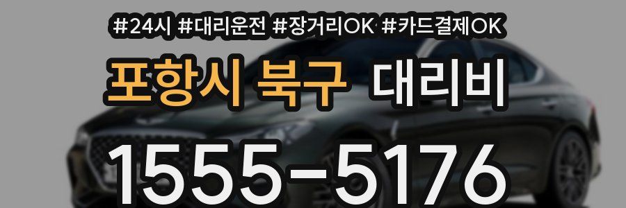 포항시 북구 대리비