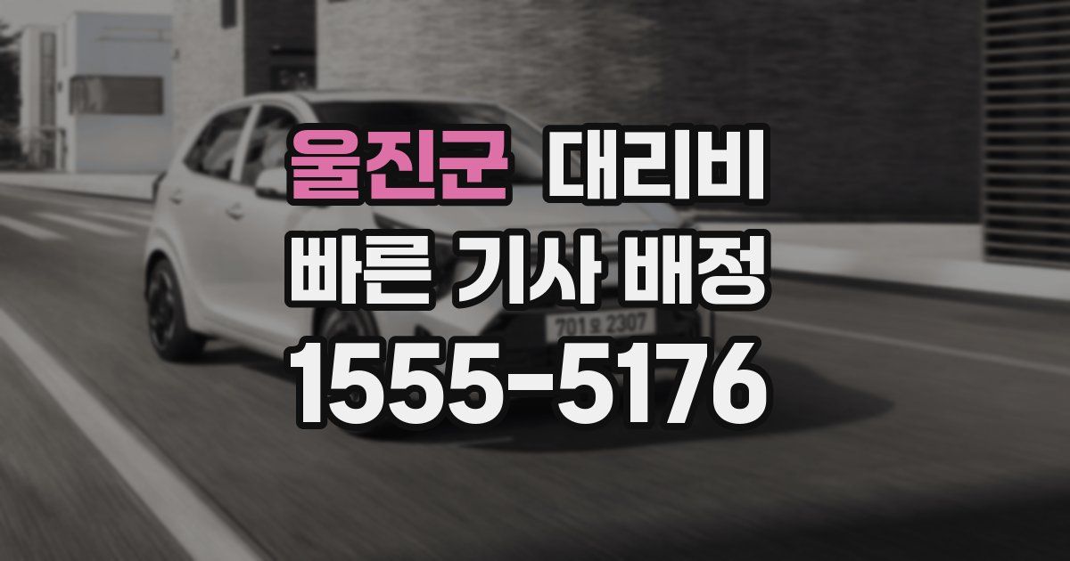 울진군 대리운전 가격