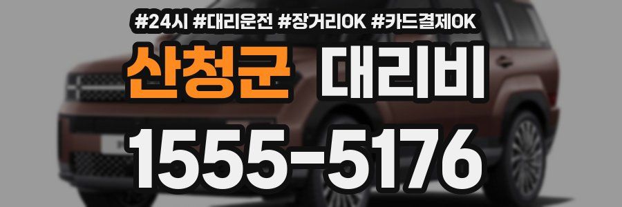 산청군 대리비