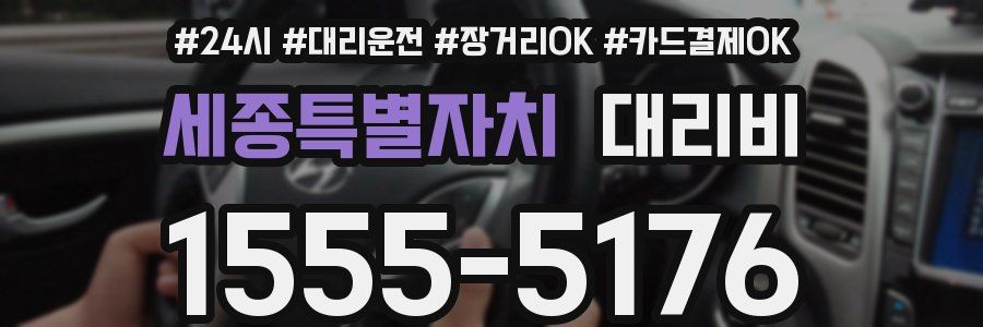 세종특별자치 대리비