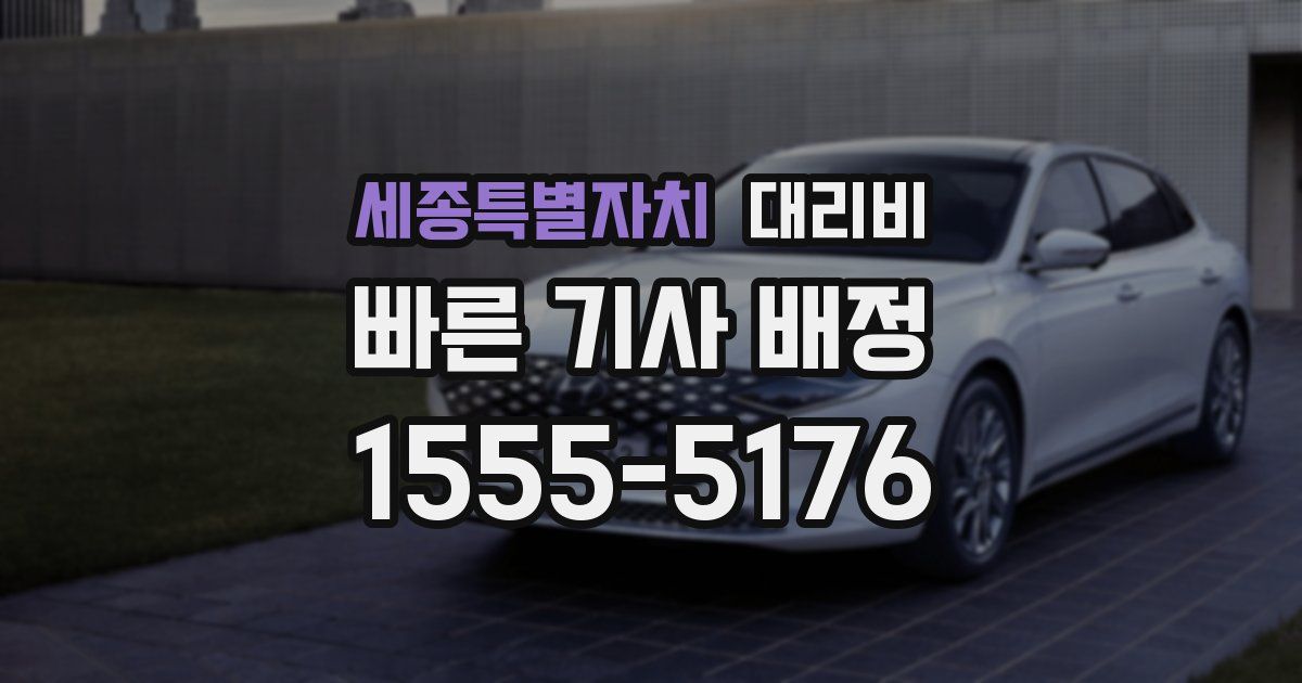 세종특별자치 대리운전 가격