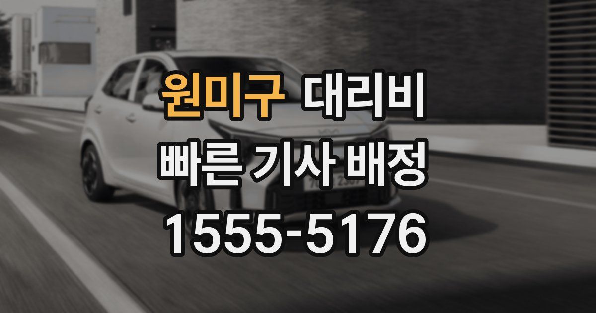 원미구 대리운전 가격