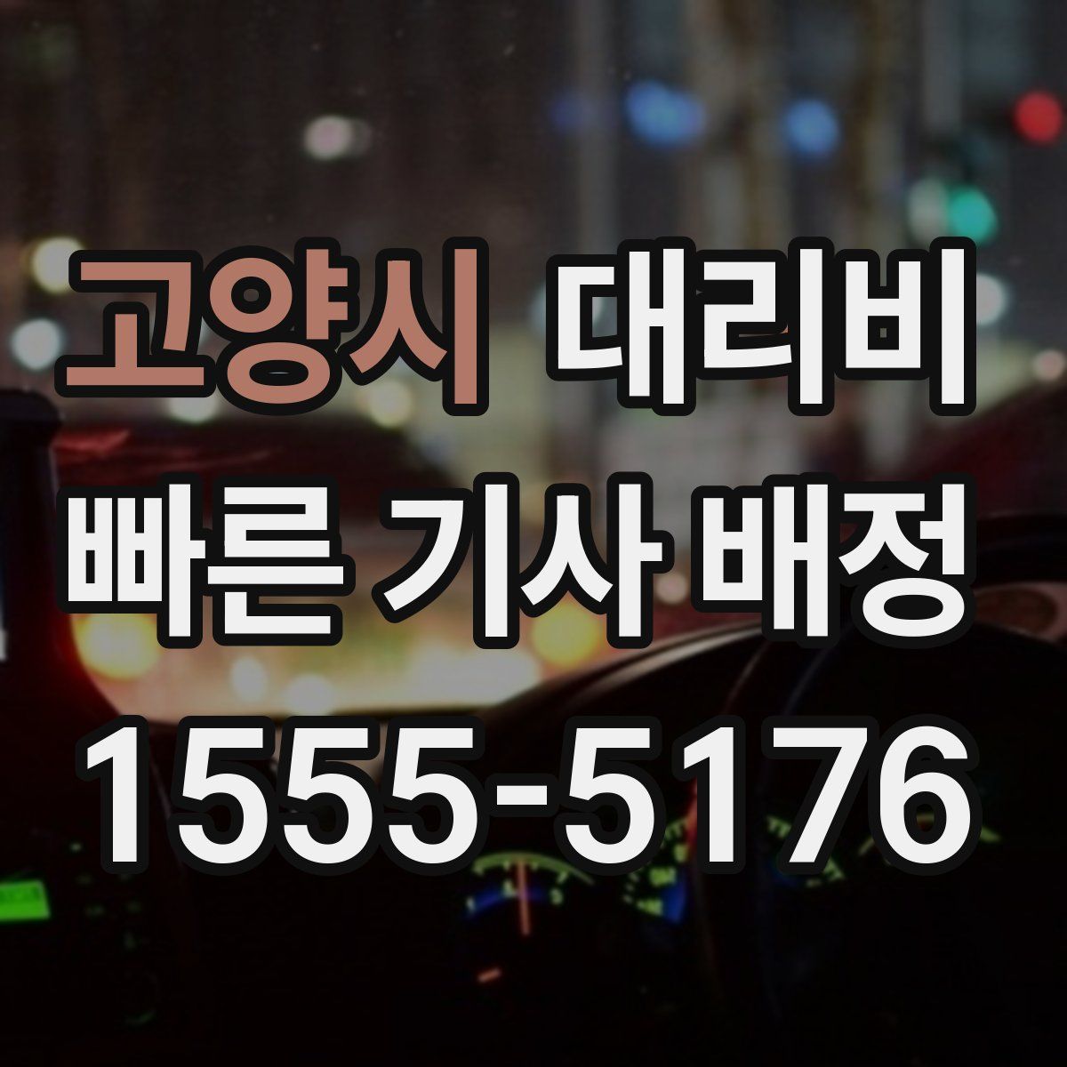 고양시 대리운전