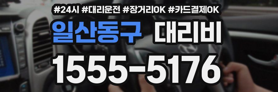 일산동구 대리비