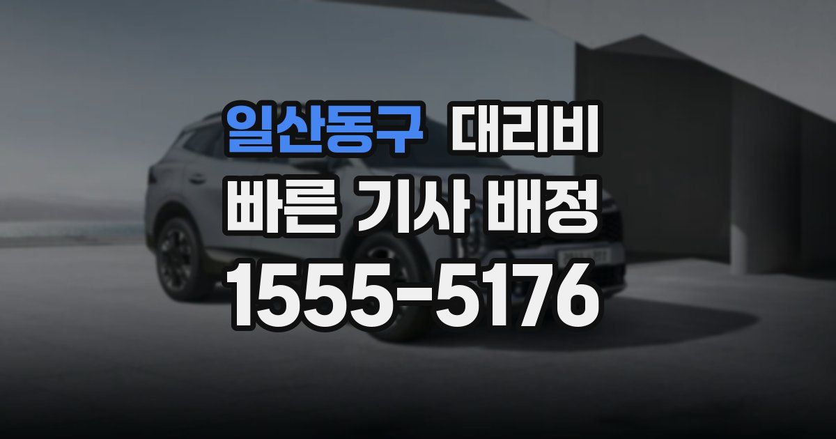 일산동구 대리운전 가격