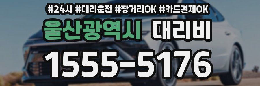 울산광역시 대리비