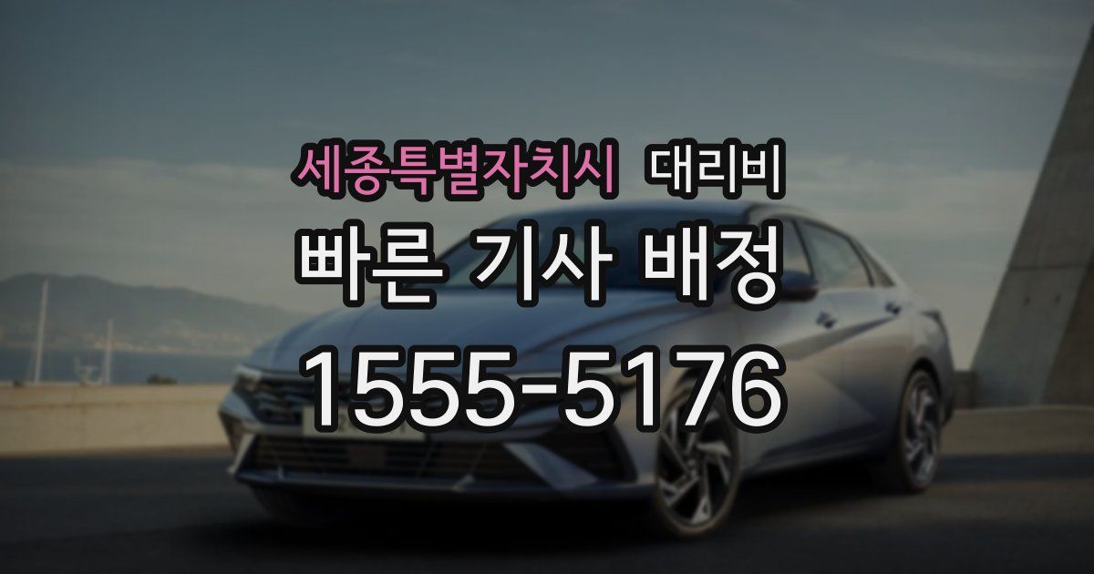 세종특별자치시 대리운전 가격