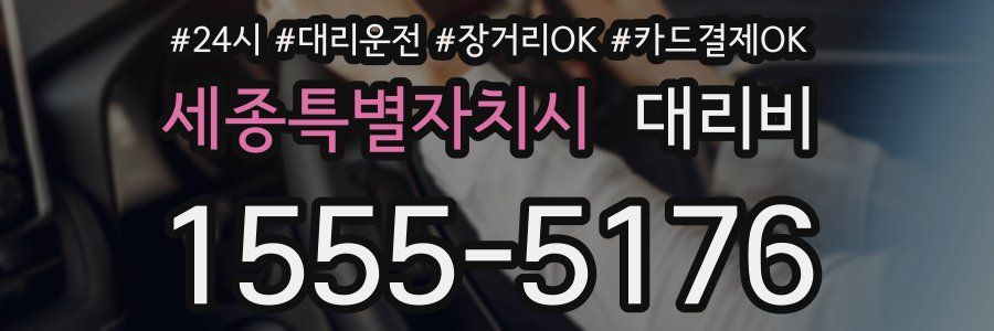 세종특별자치시 대리비
