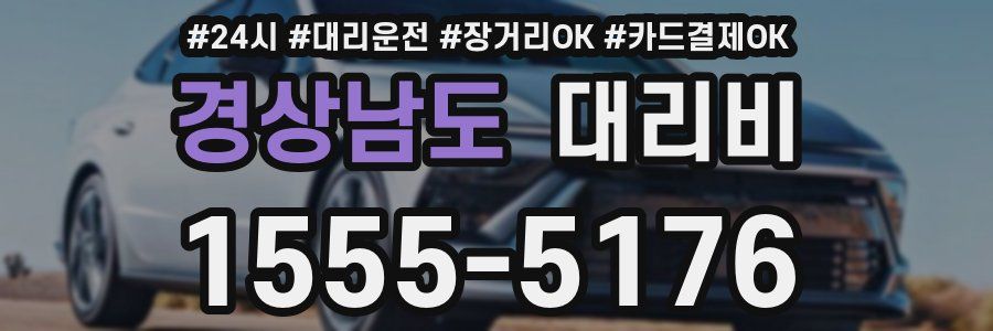 경상남도 대리비