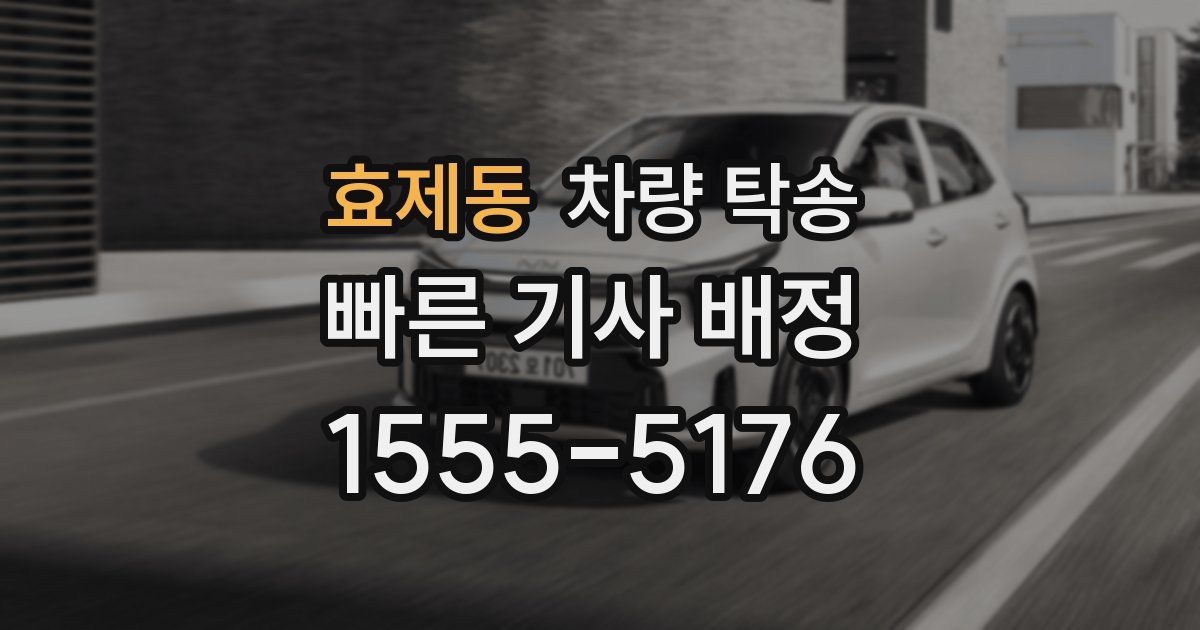 효제동 차량 탁송