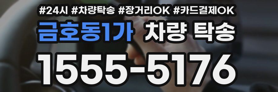 금호동1가 차량 탁송