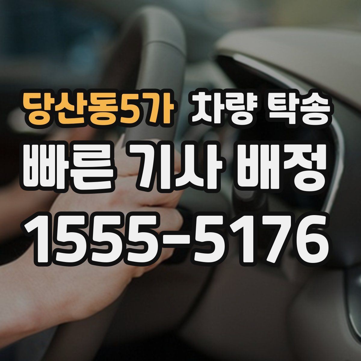 당산동5가 차량 탁송 반려동물 용품·유아용품이 있을 때 준비
