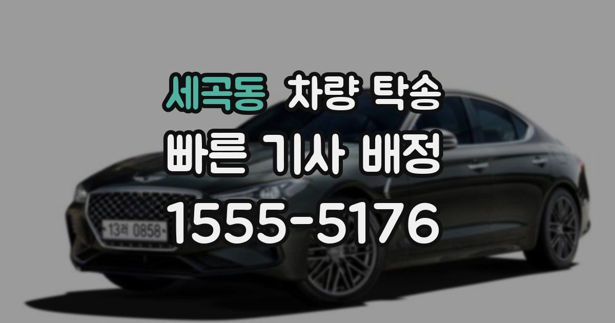 세곡동 차량 탁송