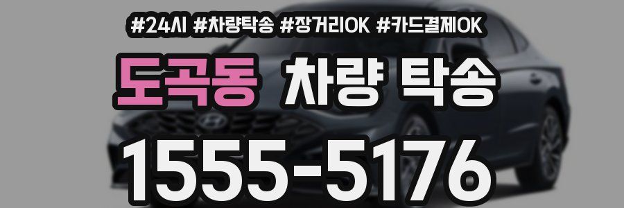 도곡동 차량 탁송