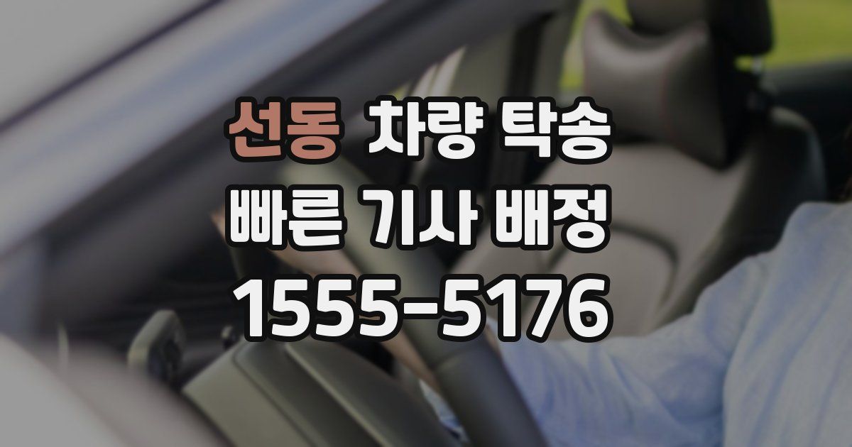 선동 차량 탁송