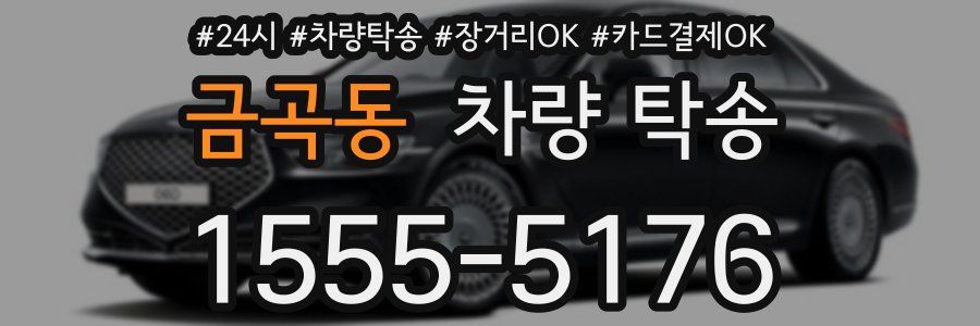 금곡동 차량 탁송