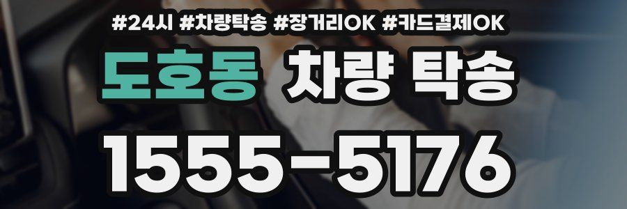 도호동 차량 탁송