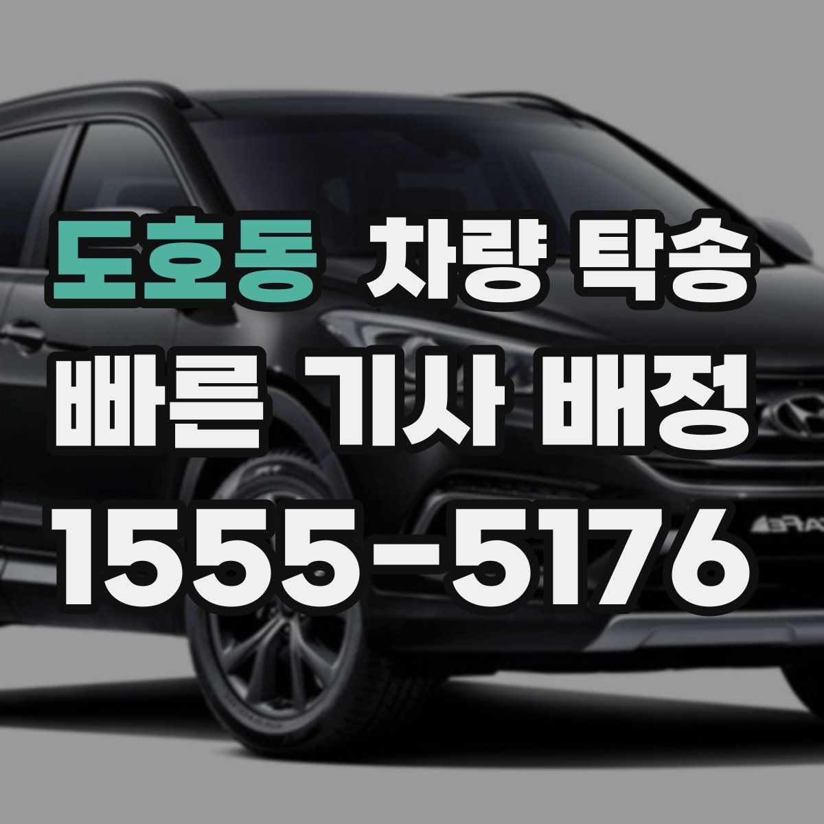 도호동 차량 탁송