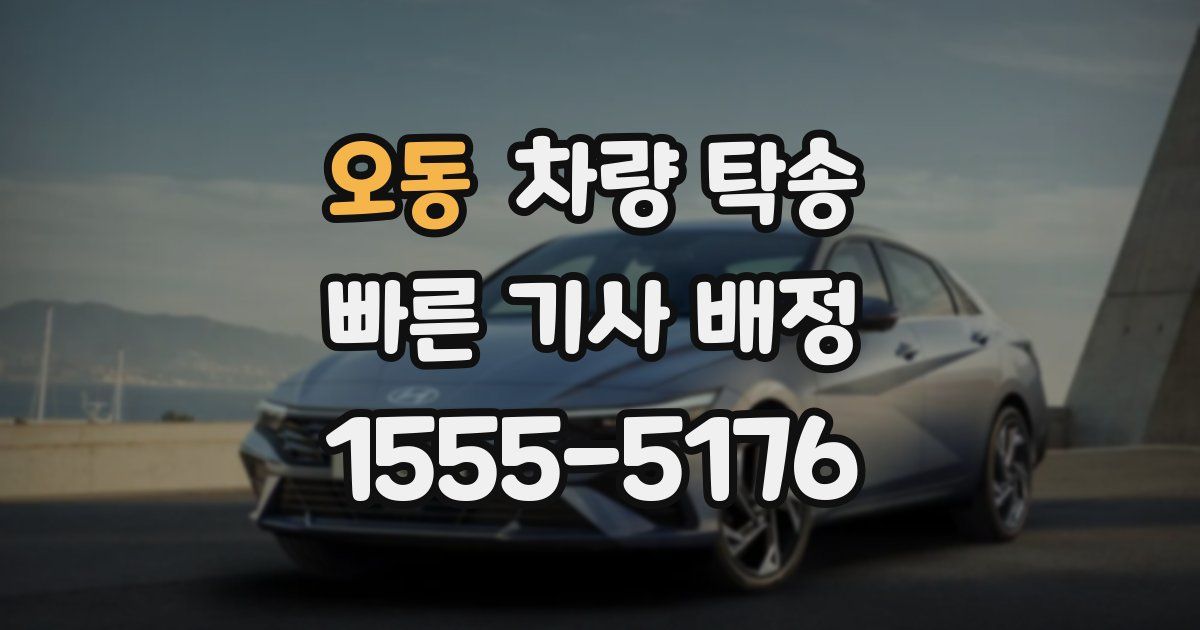 오동 차량 탁송