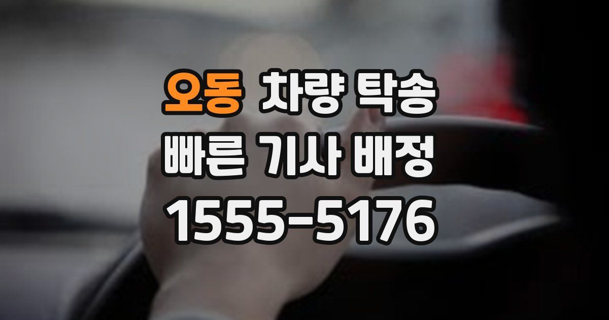 오동 차량 탁송