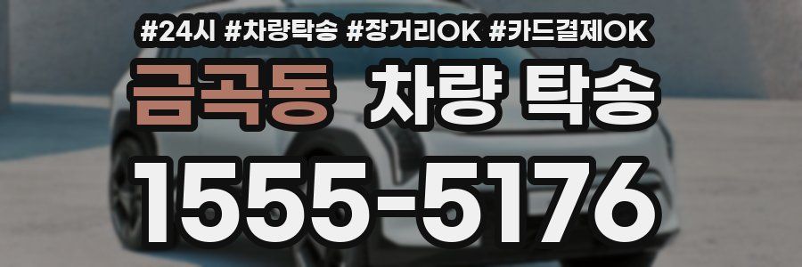 금곡동 차량 탁송