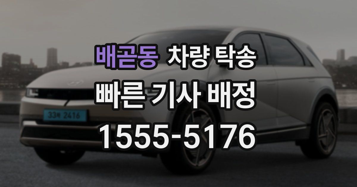 배곧동 차량 탁송