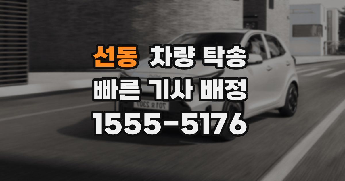 선동 차량 탁송