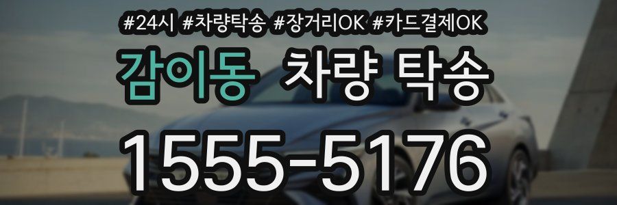 감이동 차량 탁송