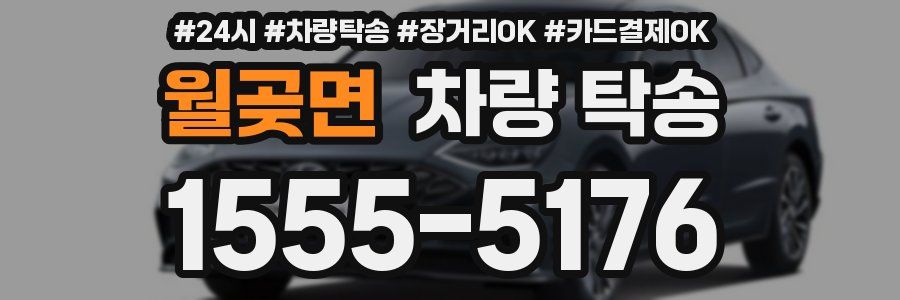 월곶면 차량 탁송