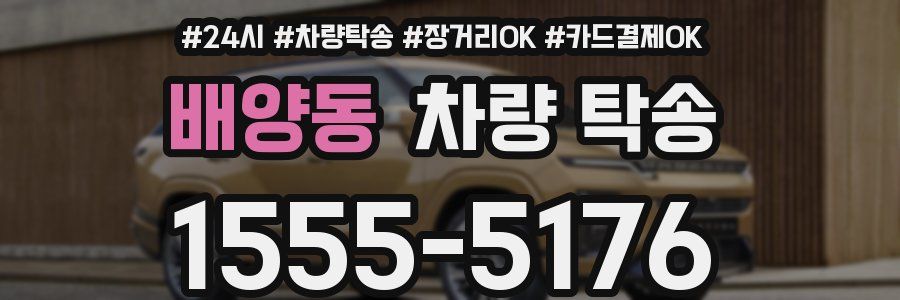 배양동 차량 탁송