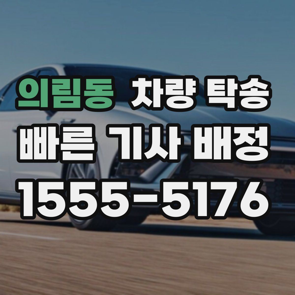 의림동 차량 탁송 반려동물 용품이 있을 때 준비 사항