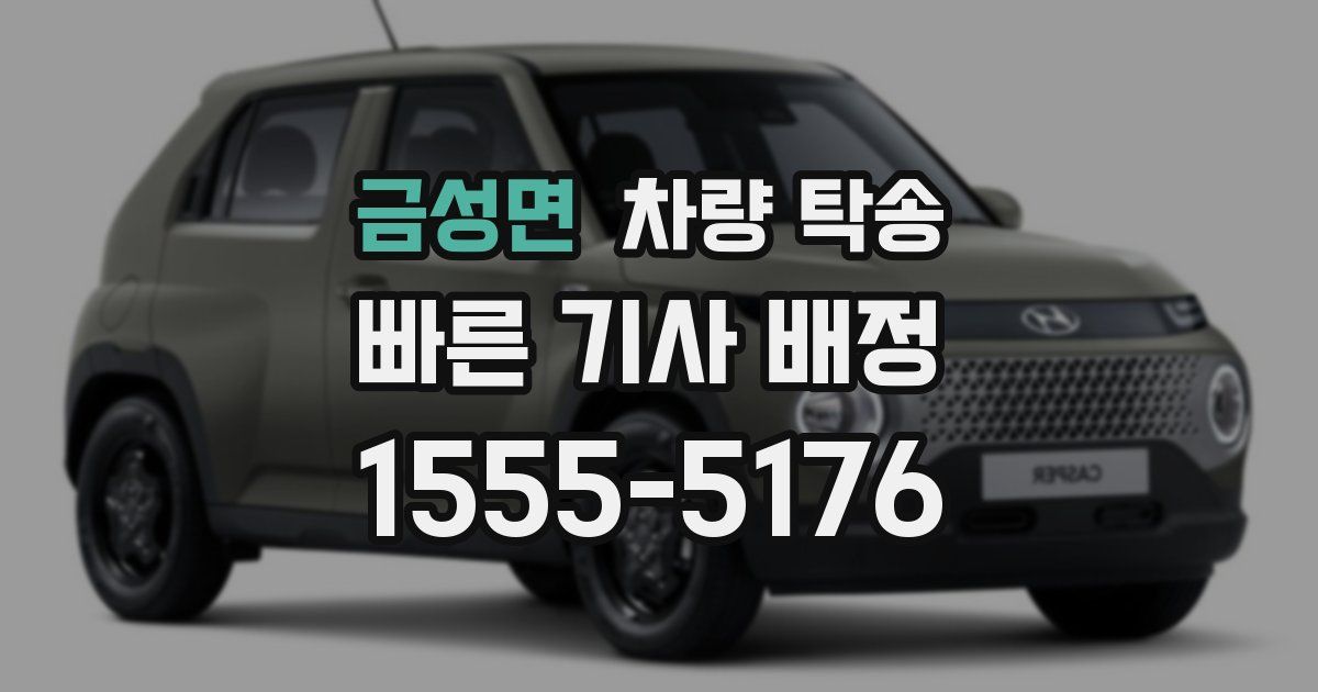 금성면 차량 탁송