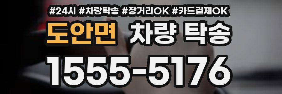 도안면 차량 탁송