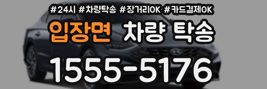 입장면 차량 탁송