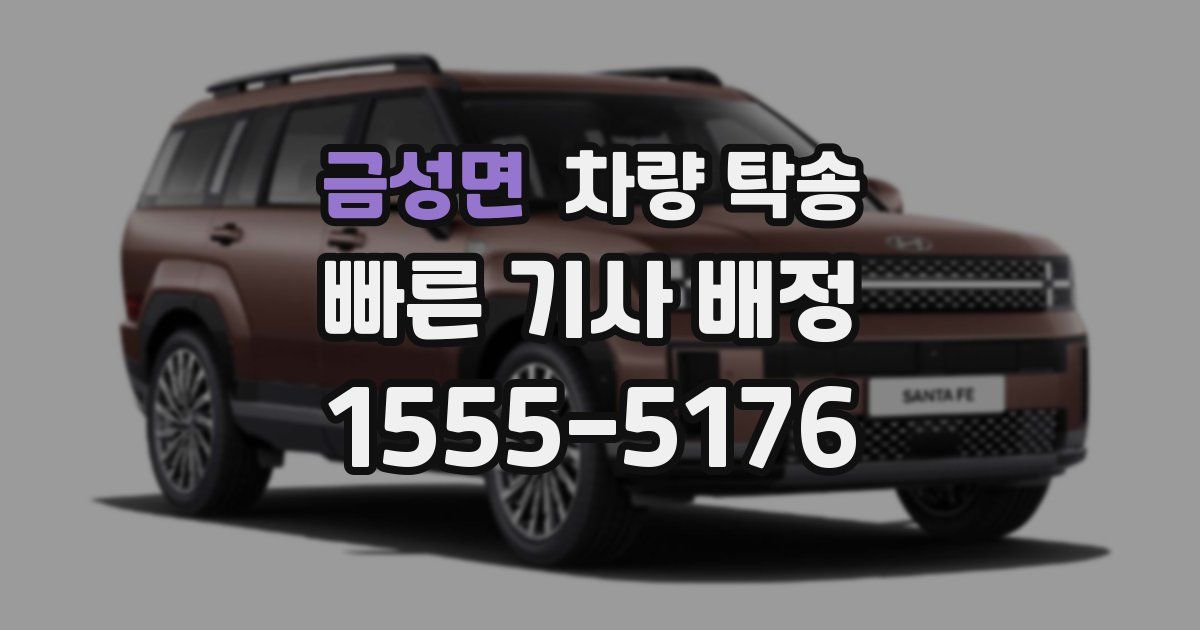 금성면 차량 탁송