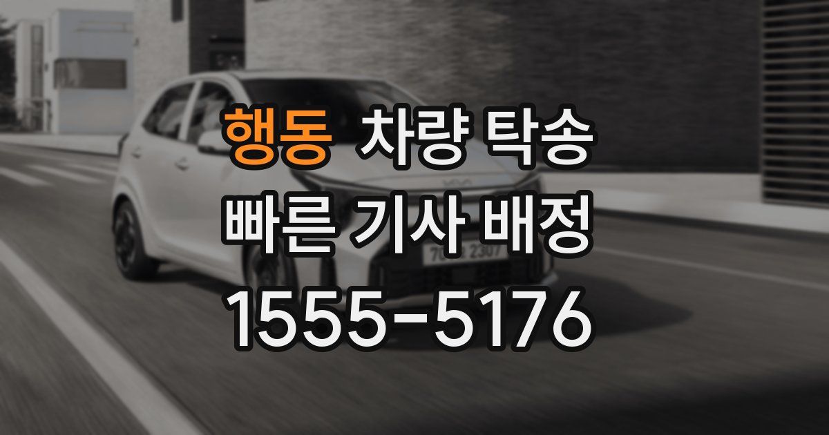 행동 차량 탁송