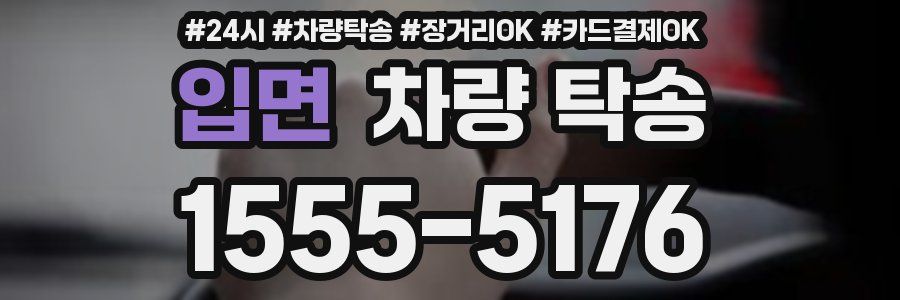 입면 차량 탁송