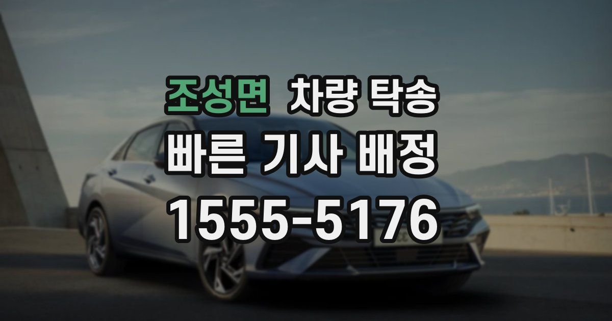 조성면 차량 탁송