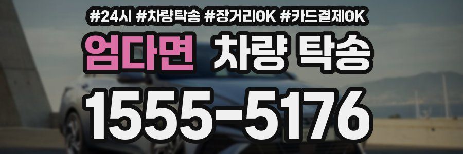 엄다면 차량 탁송