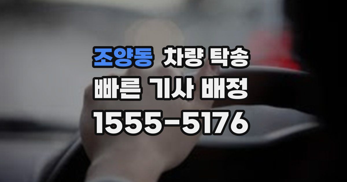 조양동 차량 탁송