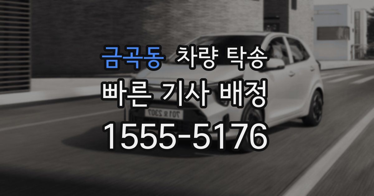 금곡동 차량 탁송