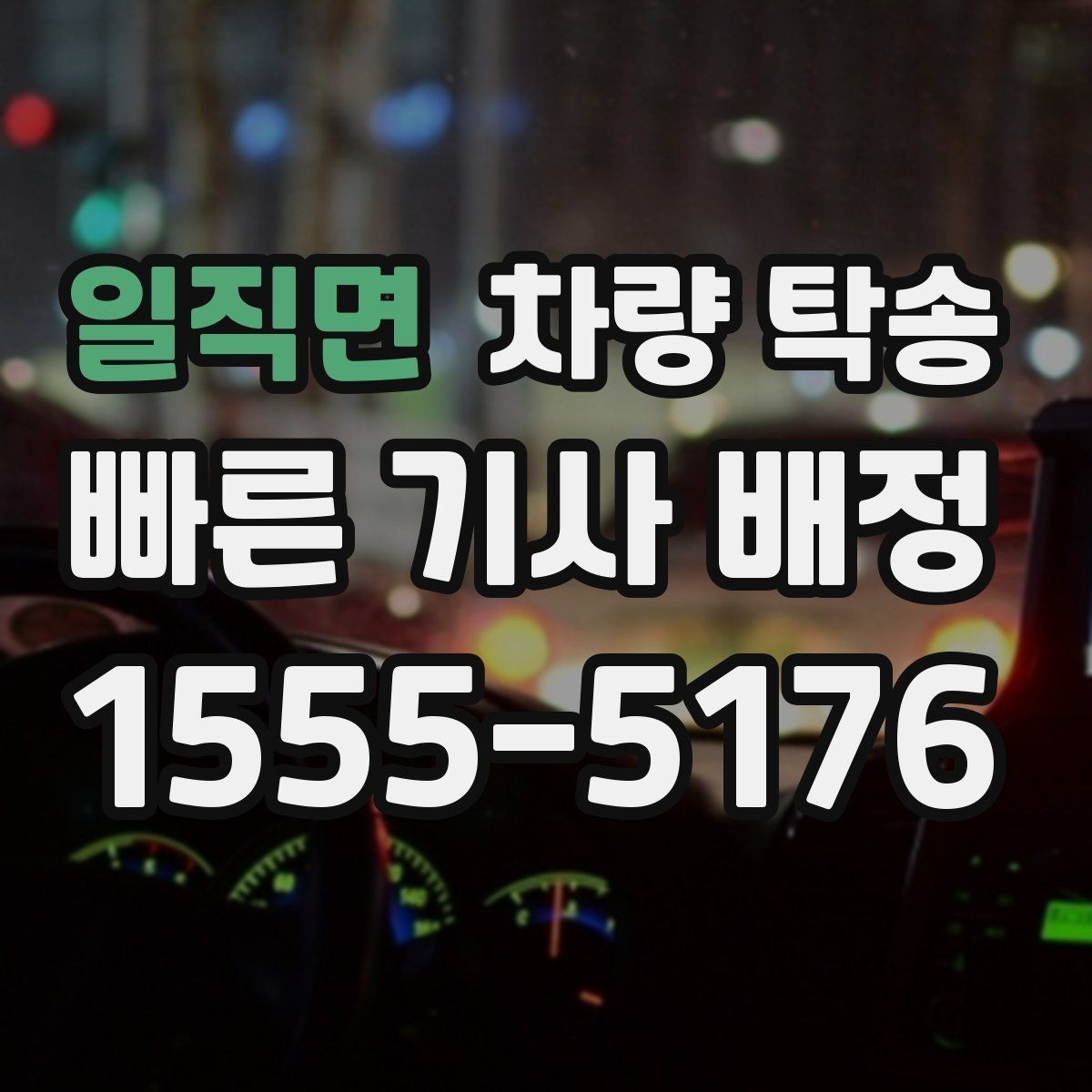 일직면 차량 탁송 반려동물 용품이 있을 때 준비 사항