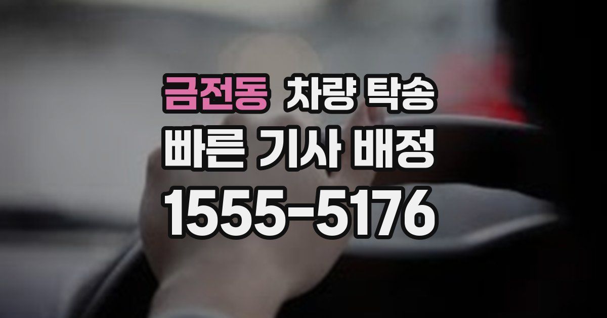 금전동 차량 탁송