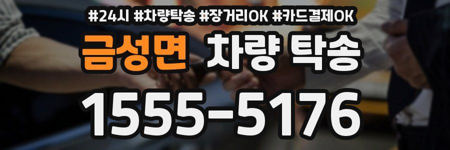 금성면 차량 탁송