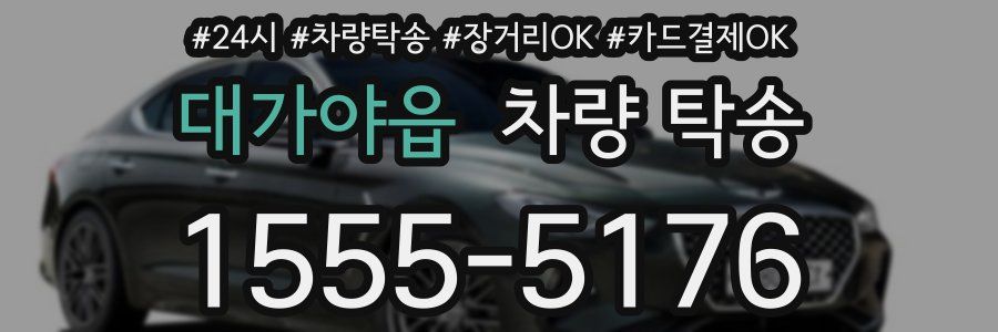 대가야읍 차량 탁송